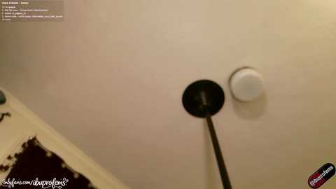 ibuprofems @ chaturbate on 20260317