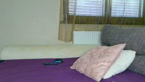 pbsteve @ chaturbate on 20260317