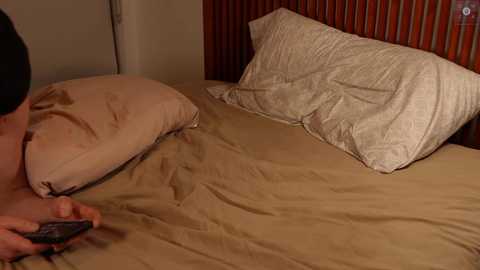 rndmzd @ chaturbate on 20260317