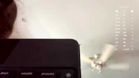 domitilabarrus @ chaturbate on 20260318