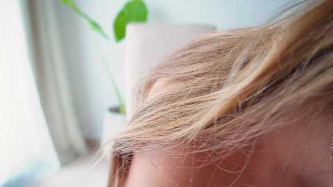 donnna19 @ chaturbate on 20260320