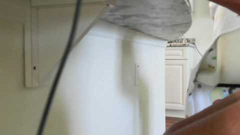 lovingcouple1969 @ chaturbate on 20260320