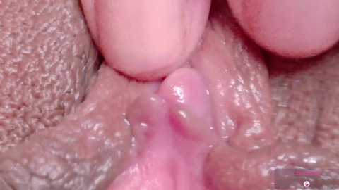 orchidekitty @ chaturbate on 20260320