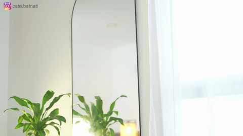 cata_batnati @ chaturbate on 20260323