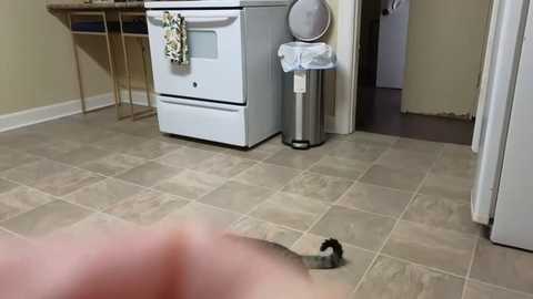 lilly_adams88 @ chaturbate on 20260323