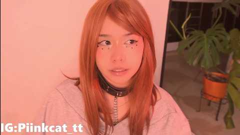 piinkcat