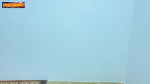 aasher_hardcore @ chaturbate on 20260325