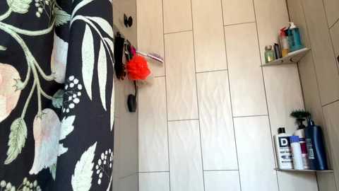 emersoncane @ chaturbate on 20260325