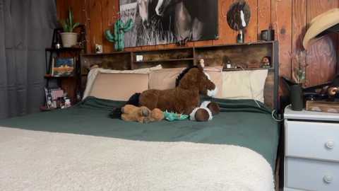 ella2sweet @ chaturbate on 20260326