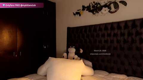 imkittencb @ chaturbate on 20260326