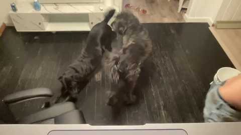 ofthatguy @ chaturbate on 20260329