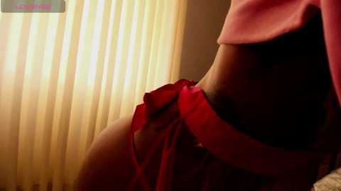 evagomez @ chaturbate on 20260331