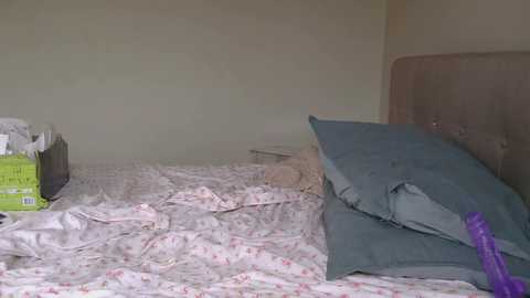 poppyjoyyy @ chaturbate on 20260408