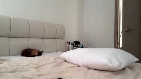 teffsweet18 @ chaturbate on 20260413