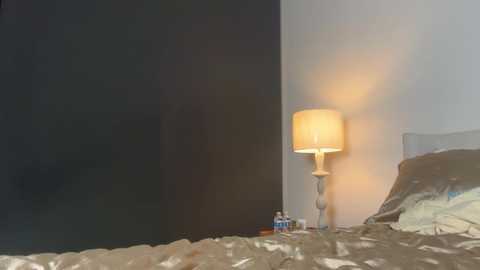 chloecookk @ chaturbate on 20260414