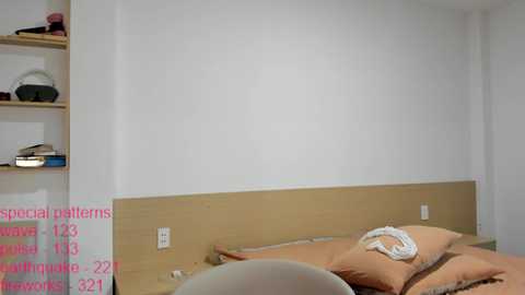 lindamei @ chaturbate on 20260414