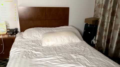 palmiratownzen @ chaturbate on 20260414