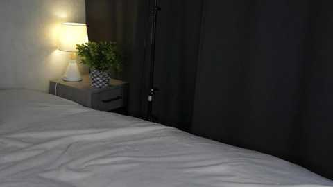 sheenadu @ chaturbate on 20260414