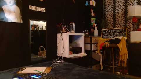 littlemisszee @ myfreecams on 20230901