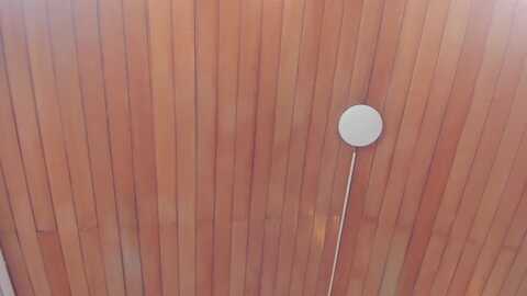 violet_03_ @ myfreecams on 20230901