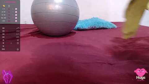 celestte97 @ myfreecams on 20230902