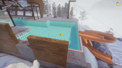 spidermeow @ myfreecams on 20230902