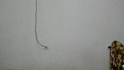 vikkybloom @ myfreecams on 20230902