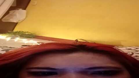 exoticlulu @ myfreecams on 20230903