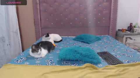 missisabella1 @ myfreecams on 20230903