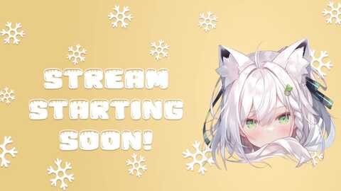 snowkitty @ myfreecams on 20230905
