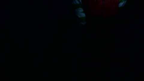 antidreamgirl @ myfreecams on 20230907