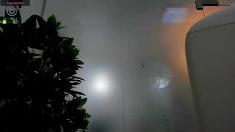 anyarayne_ @ myfreecams on 20230907