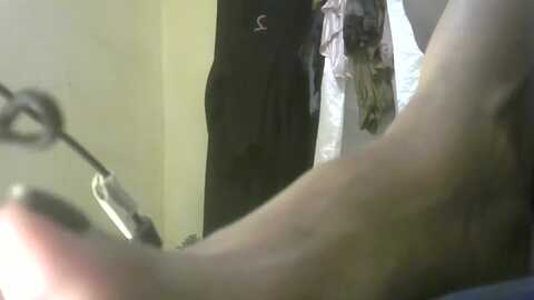 exoticlulu @ myfreecams on 20230907