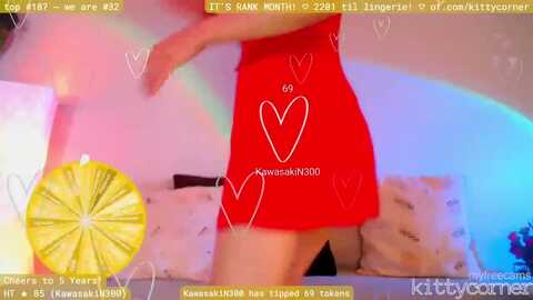 kittycorner @ myfreecams on 20230907