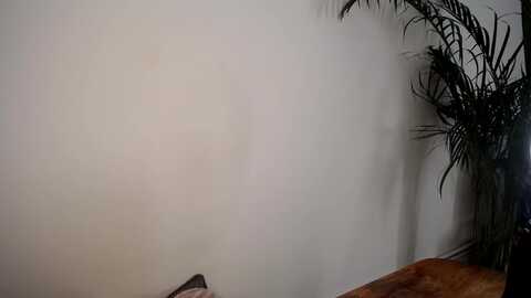 misschloe2 @ myfreecams on 20230907