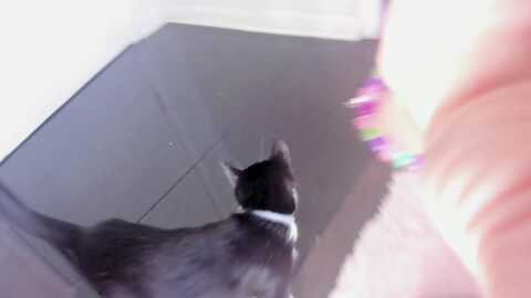 naomidee @ myfreecams on 20230907