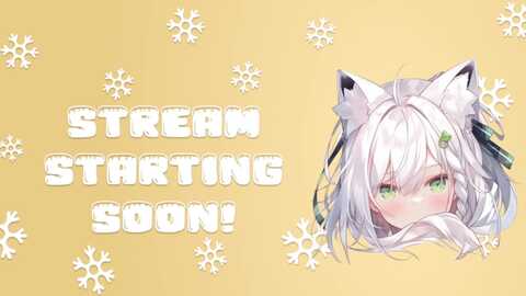 snowkitty @ myfreecams on 20230907