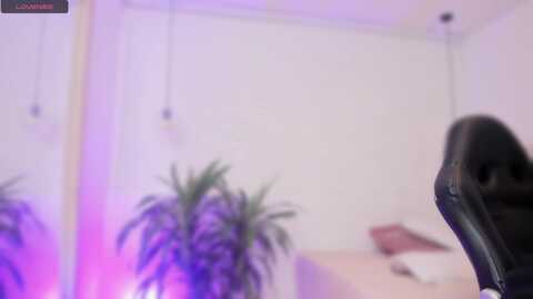 toriemiller @ myfreecams on 20230907
