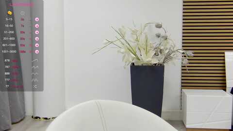 squirrel_mfc @ myfreecams on 20230910