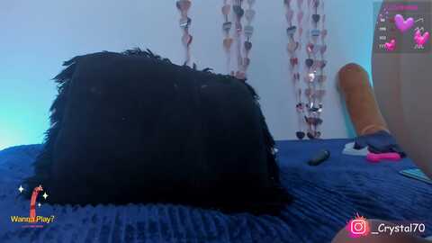 crystal_a777 @ myfreecams on 20230913