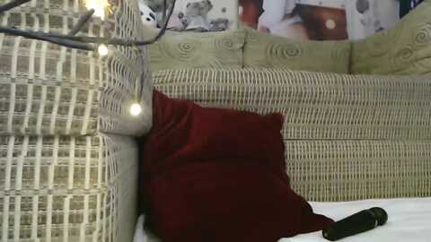 roomofbears @ myfreecams on 20230913