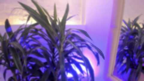 toriemiller @ myfreecams on 20230913