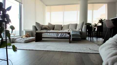 mollyboots @ myfreecams on 20230914