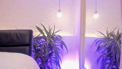 toriemiller @ myfreecams on 20230914