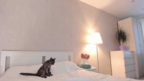 heyrose @ myfreecams on 20230915