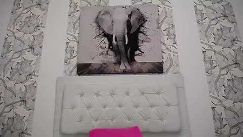 ambar_sex10 @ myfreecams on 20230916