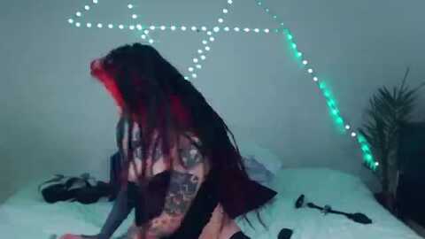 marthakatze
