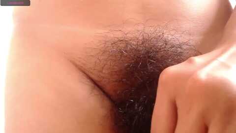 sweet_barbiie @ myfreecams on 20230917