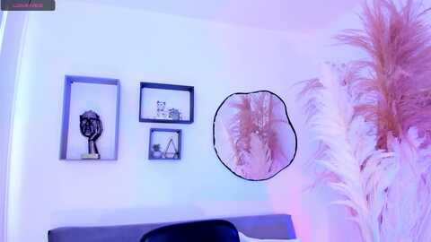 amyaddison_ @ myfreecams on 20230921