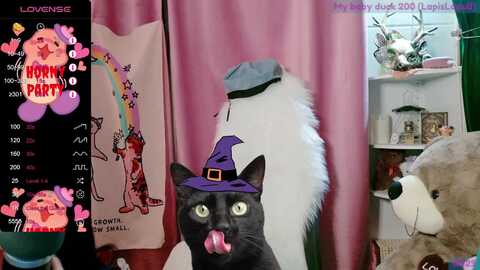 meows @ myfreecams on 20230923